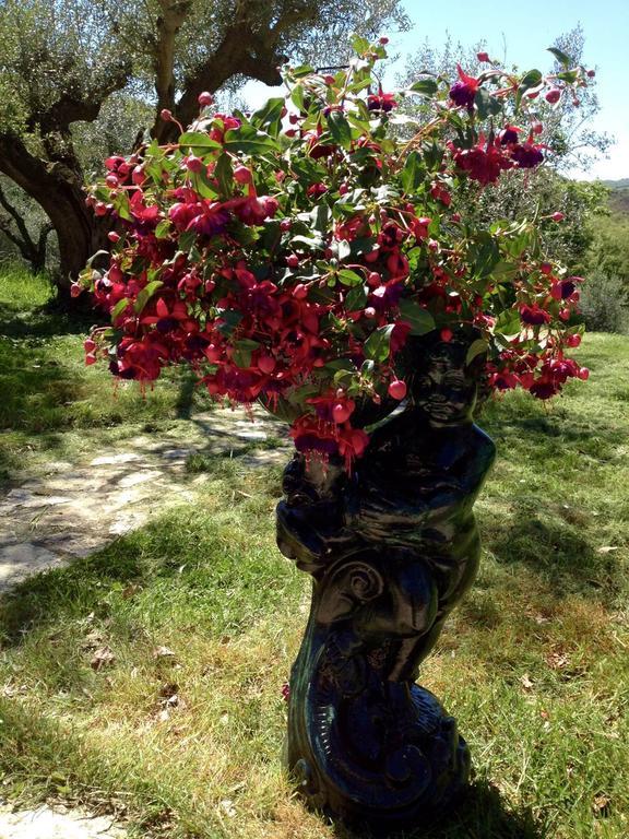 Podere Le Corone Villa Monte Castello di Vibio ภายนอก รูปภาพ