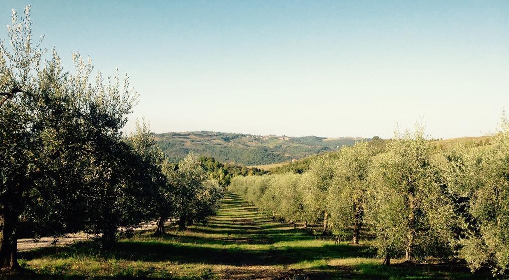 Podere Le Corone Villa Monte Castello di Vibio ภายนอก รูปภาพ