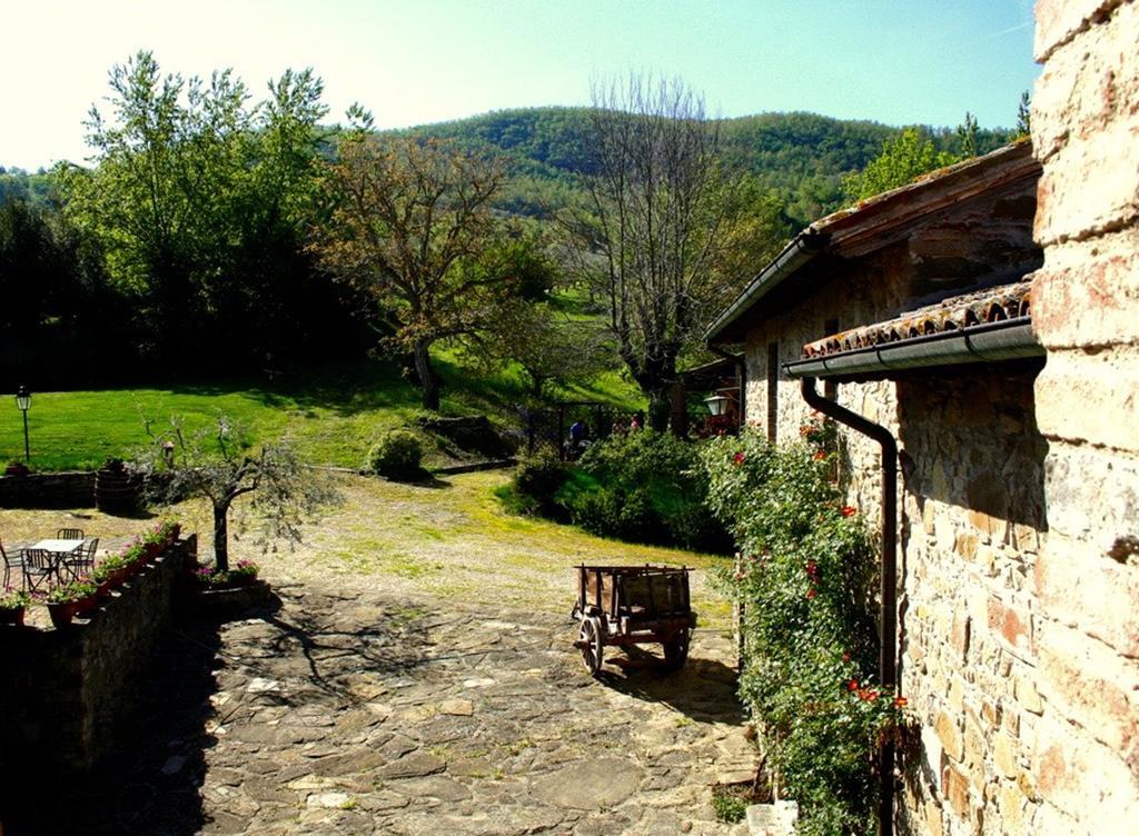 Podere Le Corone Villa Monte Castello di Vibio ภายนอก รูปภาพ