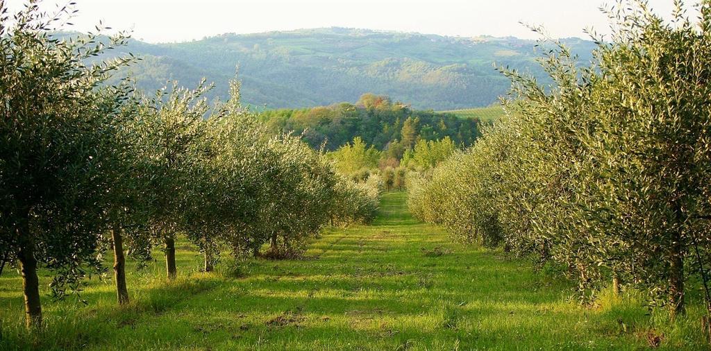 Podere Le Corone Villa Monte Castello di Vibio ภายนอก รูปภาพ