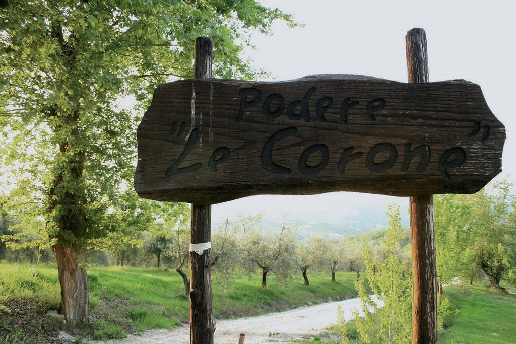 Podere Le Corone Villa Monte Castello di Vibio ภายนอก รูปภาพ